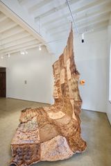 Kaghazi Hai Pairahan by Bhasha Chakrabarti contemporary artwork works on paper