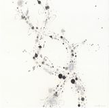Untitled Lights  24 by Hiraku Suzuki contemporary artwork painting works on paper