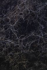 Tang Mausoleum Long grass 11 by Feng Yan contemporary artwork photography