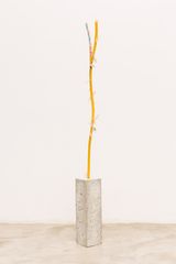 Brief Syllable Peeled by Nina Canell contemporary artwork sculpture