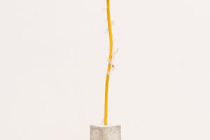 Nina Canell