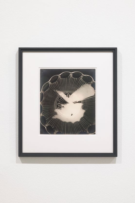 Untitled by Man Ray contemporary artwork Photography