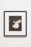 Untitled by Man Ray contemporary artwork Photography