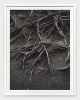 untitled by Elle Perez contemporary artwork photography print