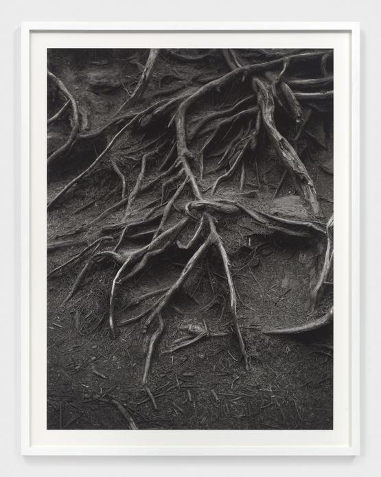untitled by Elle Perez contemporary artwork Photography