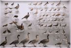 The Silence of Language by Shi Guowei contemporary artwork Painting