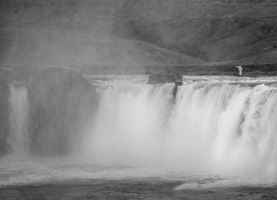 Water drop by Katie Paterson contemporary artwork Photography