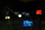 Interspecies Cinematic Encounters by Jean-Michel Frodon And Rasha Salti with COLLECTIVE contemporary artwork sculpture
