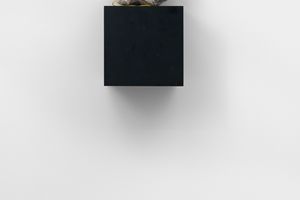 Steven Claydon