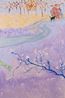 The bougainvillea tree and summer sun by Sohrab Hura contemporary artwork Painting