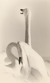 1627 by Yamamoto Masao contemporary artwork print