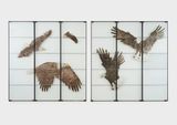 Dominion by Kiki Smith contemporary artwork sculpture