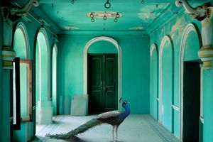 Karen Knorr