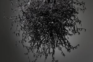 Petah Coyne