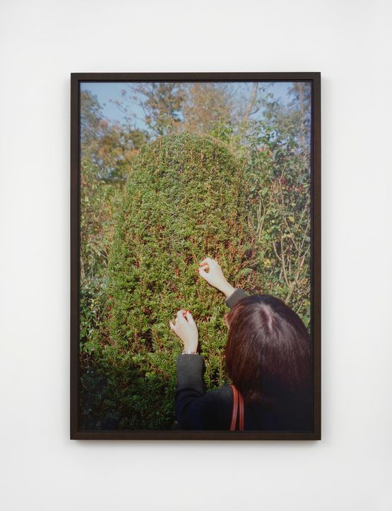 Jeannette in Wirtzs garden by Jeff Wall contemporary artwork Photography