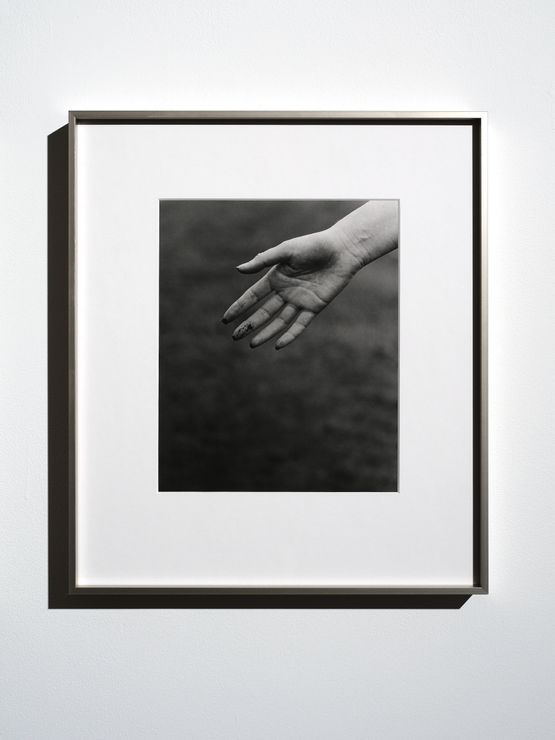 Ihumanea by Conor Clarke contemporary artwork Photography
