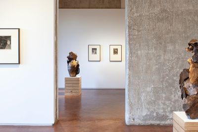 Mrinalini Mukherjee Forces of Nature