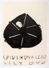 Spider on a Lily Bud with Line on Head by Rose Wylie contemporary artwork mixed media painting print works on paper
