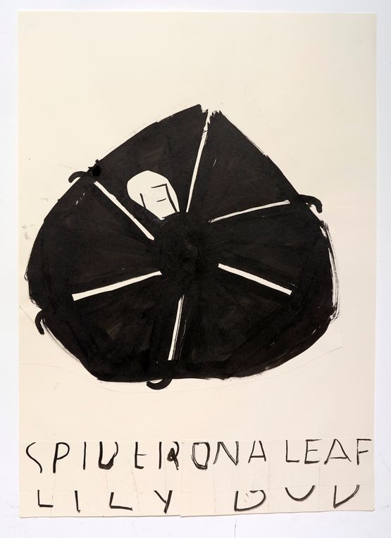 Spider on a Lily Bud with Line on Head by Rose Wylie contemporary artwork Painting