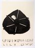 Spider on a Lily Bud with Line on Head by Rose Wylie contemporary artwork Painting