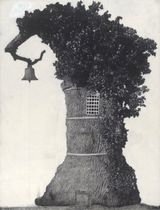 Drawing of Old Trees during wintry days 2007-2014 by Patrick Van Caeckenbergh contemporary artwork works on paper