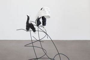 Andy Fitz