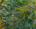 Inspiring Season by Ava Hsueh contemporary artwork Painting
