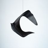 Rara Avis II by An Te Liu contemporary artwork sculpture