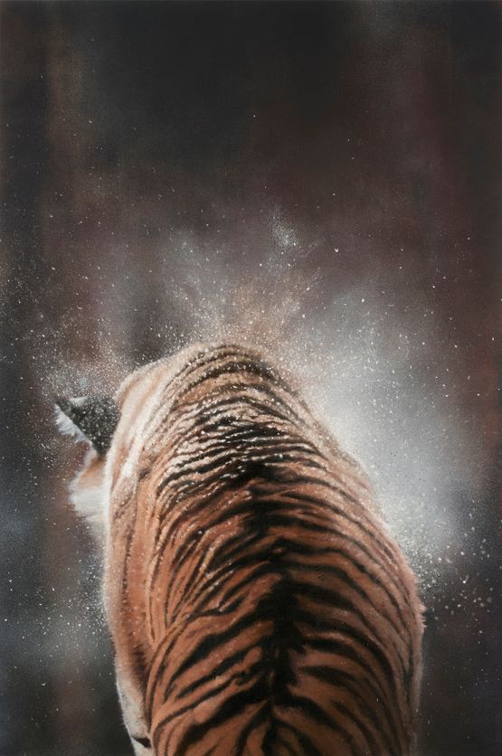 Winter tiger by Aleksandar Duravcevic contemporary artwork Painting