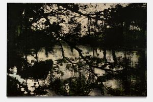 Susan Norrie
