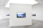 Dara Birnbaum contemporary artist
