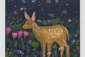 Ann Craven
