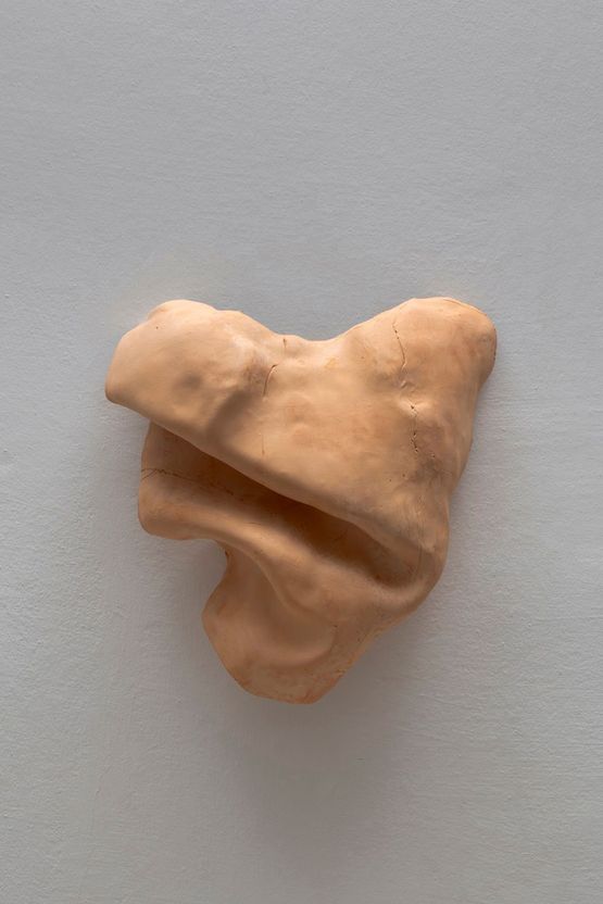 Studies for potential metamorphoses XVIII by Yasam Sasmazer contemporary artwork Sculpture