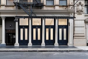 Timothy Taylor contemporary art gallery in London United Kingdom
