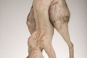 Patricia Piccinini