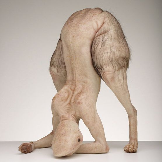 Bottom Feeder by Patricia Piccinini contemporary artwork Sculpture