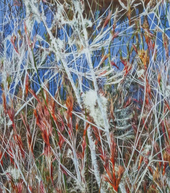 Untitled 4819-62 by Lee Kwang-Ho contemporary artwork Painting