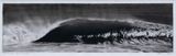 Study for Black Swan by Robert Longo contemporary artwork drawing works on paper