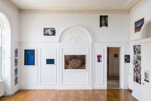 Wolfgang Tillmans