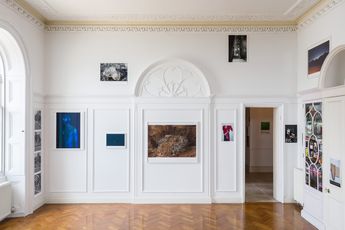Contemporary art exhibition Wolfgang Tillmans Moon in Earthlight at Maureen Paley Morena di Luna Hove United Kingdom