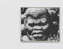 Olmec Negroid Stone Head Tres Zapotes F. 800BC - 400 BC by Deana Lawson contemporary artwork Photography