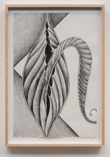 Fossil 8 by Faith Wilding contemporary artwork drawing works on paper