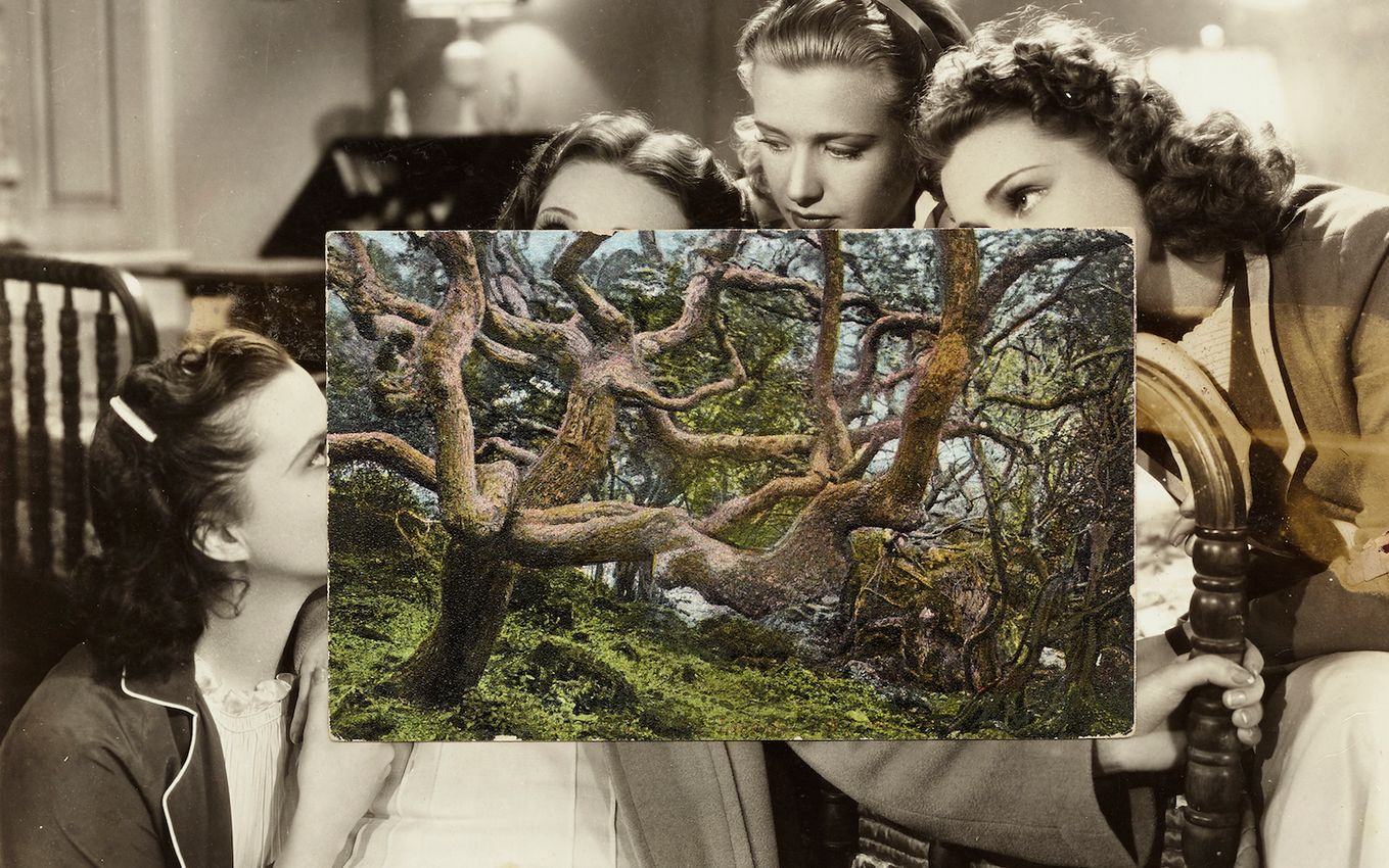 John Stezaker