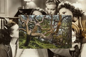 Contemporary art exhibition John Stezaker John Stezaker. Condo Mexico City 2019 Galeria OMR Hosting Galerie Gisela Capitain at OMR Mexico City
