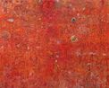 Wonder Garden by Ido Park contemporary artwork Painting