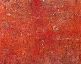 Wonder Garden by Ido Park contemporary artwork painting