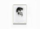 White Shadow IV by Jaume Plensa contemporary artwork Works on Paper