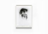 White Shadow IV by Jaume Plensa contemporary artwork works on paper