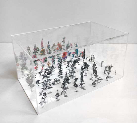 Flower Box 7 by Zadok Ben-David contemporary artwork Sculpture