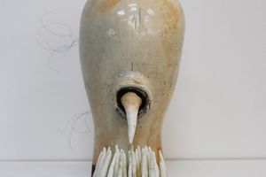 Julia Morison